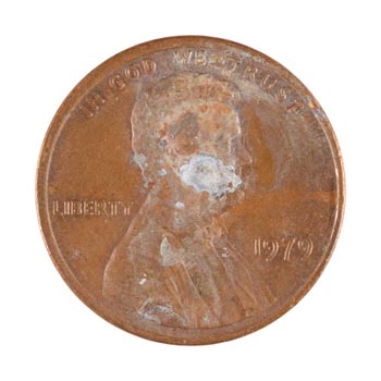 CENT #3641 – Fine white network